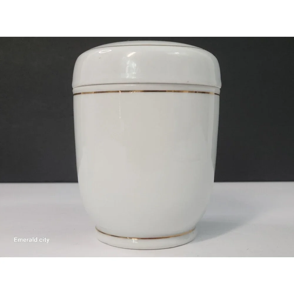 Vtg White Asian Ceramic Jar Lidded Spices Condiment Taiwan Turtle decor Set of 2